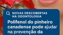 https://craneum.com.br/wp/wp-content/uploads/2025/09/pinheirocanadense-213x120.jpeg