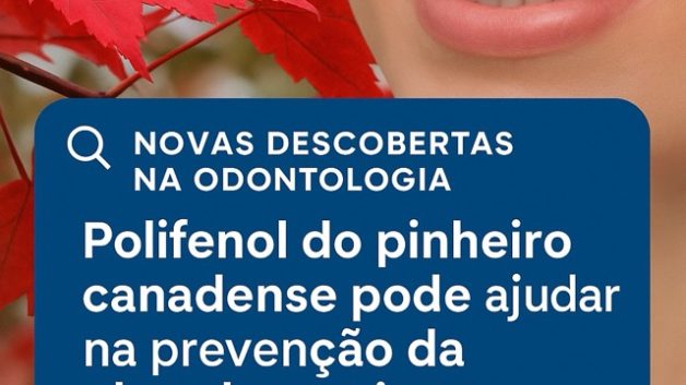 https://craneum.com.br/wp/wp-content/uploads/2025/09/pinheirocanadense-628x353.jpeg